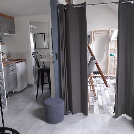 Loft Haut De Gamme Centre Montargis, Place De Parking, Local A Velos, Linge De Lits Et Serviettes, Coin Riviere Amenage, Hamac, Epicerie, Velos En Option, Tout Confort Jusqu'A 4 Voyageurs Екстер'єр фото