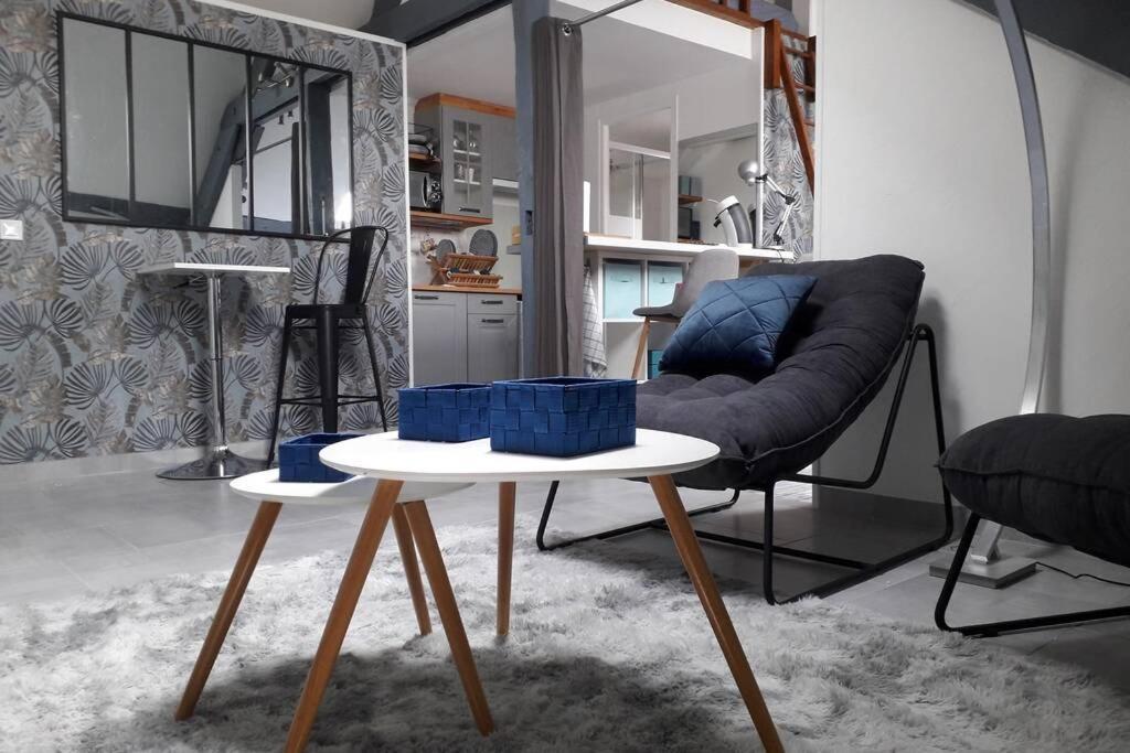 Loft Haut De Gamme Centre Montargis, Place De Parking, Local A Velos, Linge De Lits Et Serviettes, Coin Riviere Amenage, Hamac, Epicerie, Velos En Option, Tout Confort Jusqu'A 4 Voyageurs Екстер'єр фото