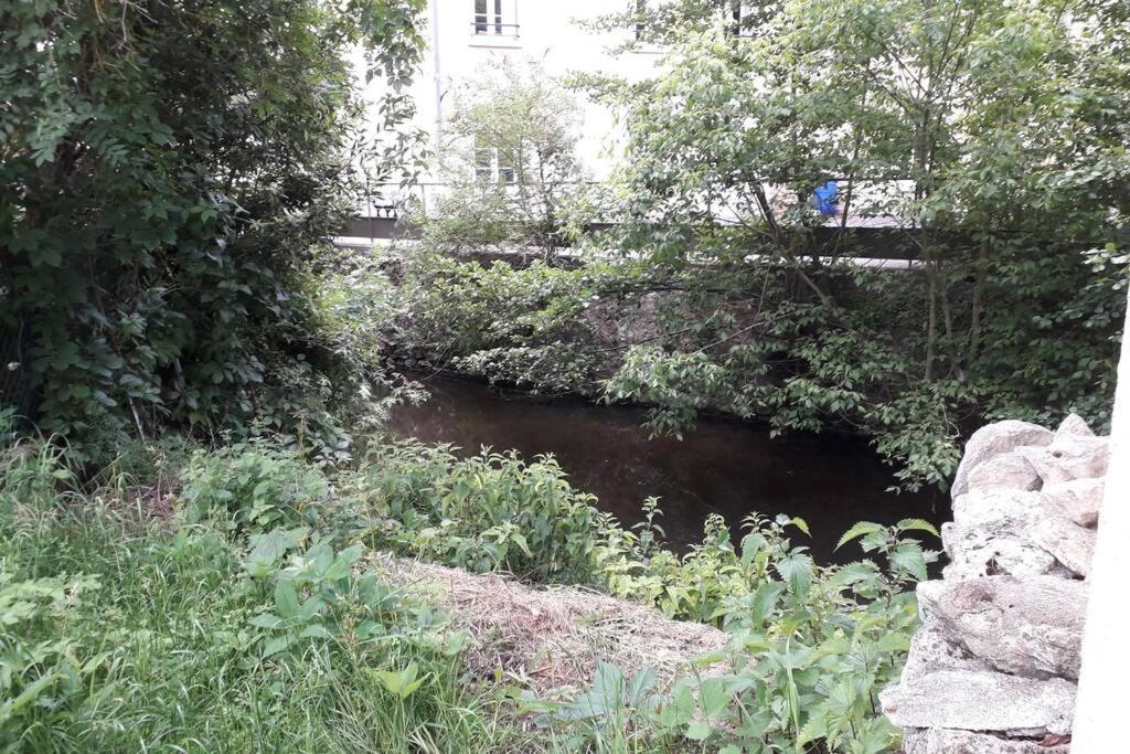 Loft Haut De Gamme Centre Montargis, Place De Parking, Local A Velos, Linge De Lits Et Serviettes, Coin Riviere Amenage, Hamac, Epicerie, Velos En Option, Tout Confort Jusqu'A 4 Voyageurs Екстер'єр фото