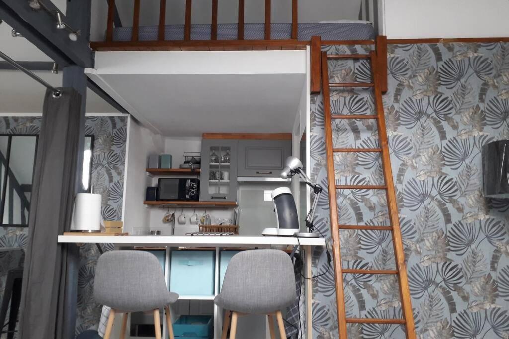 Loft Haut De Gamme Centre Montargis, Place De Parking, Local A Velos, Linge De Lits Et Serviettes, Coin Riviere Amenage, Hamac, Epicerie, Velos En Option, Tout Confort Jusqu'A 4 Voyageurs Екстер'єр фото