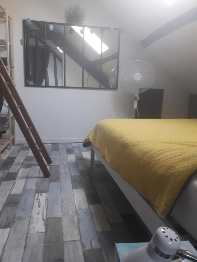 Loft Haut De Gamme Centre Montargis, Place De Parking, Local A Velos, Linge De Lits Et Serviettes, Coin Riviere Amenage, Hamac, Epicerie, Velos En Option, Tout Confort Jusqu'A 4 Voyageurs Екстер'єр фото