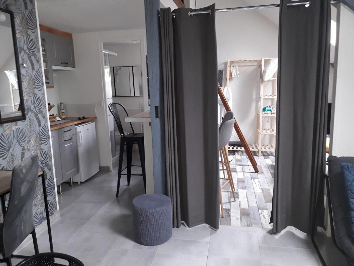 Loft Haut De Gamme Centre Montargis, Place De Parking, Local A Velos, Linge De Lits Et Serviettes, Coin Riviere Amenage, Hamac, Epicerie, Velos En Option, Tout Confort Jusqu'A 4 Voyageurs Екстер'єр фото