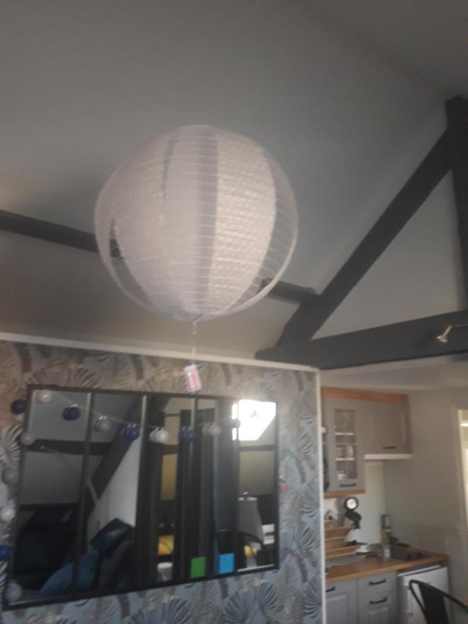Loft Haut De Gamme Centre Montargis, Place De Parking, Local A Velos, Linge De Lits Et Serviettes, Coin Riviere Amenage, Hamac, Epicerie, Velos En Option, Tout Confort Jusqu'A 4 Voyageurs Екстер'єр фото