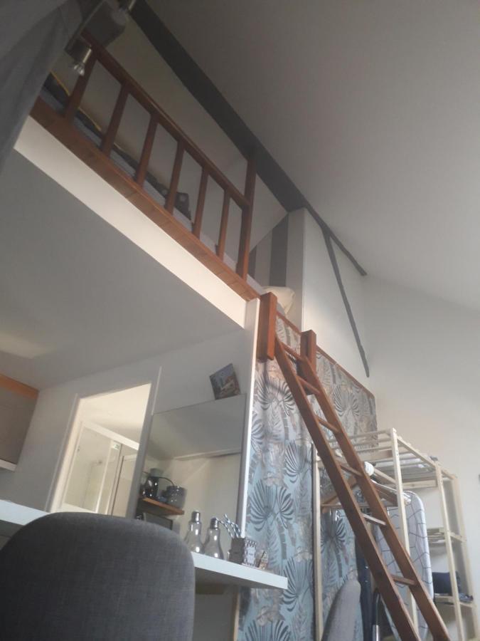 Loft Haut De Gamme Centre Montargis, Place De Parking, Local A Velos, Linge De Lits Et Serviettes, Coin Riviere Amenage, Hamac, Epicerie, Velos En Option, Tout Confort Jusqu'A 4 Voyageurs Екстер'єр фото