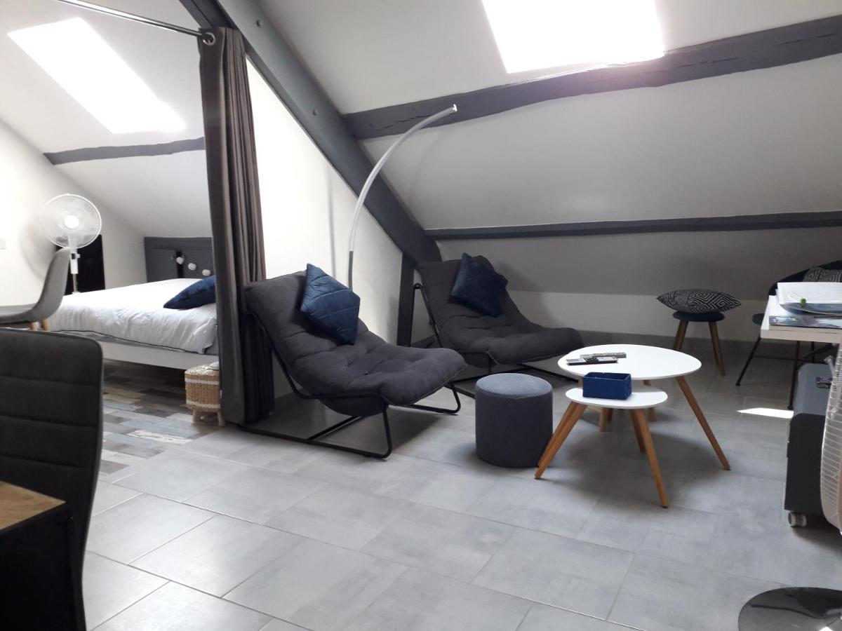 Loft Haut De Gamme Centre Montargis, Place De Parking, Local A Velos, Linge De Lits Et Serviettes, Coin Riviere Amenage, Hamac, Epicerie, Velos En Option, Tout Confort Jusqu'A 4 Voyageurs Екстер'єр фото