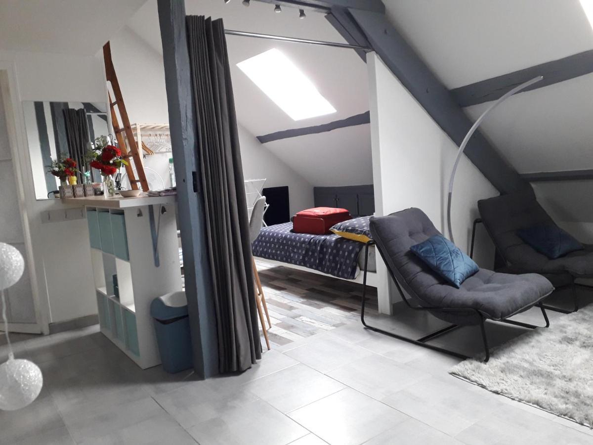 Loft Haut De Gamme Centre Montargis, Place De Parking, Local A Velos, Linge De Lits Et Serviettes, Coin Riviere Amenage, Hamac, Epicerie, Velos En Option, Tout Confort Jusqu'A 4 Voyageurs Екстер'єр фото