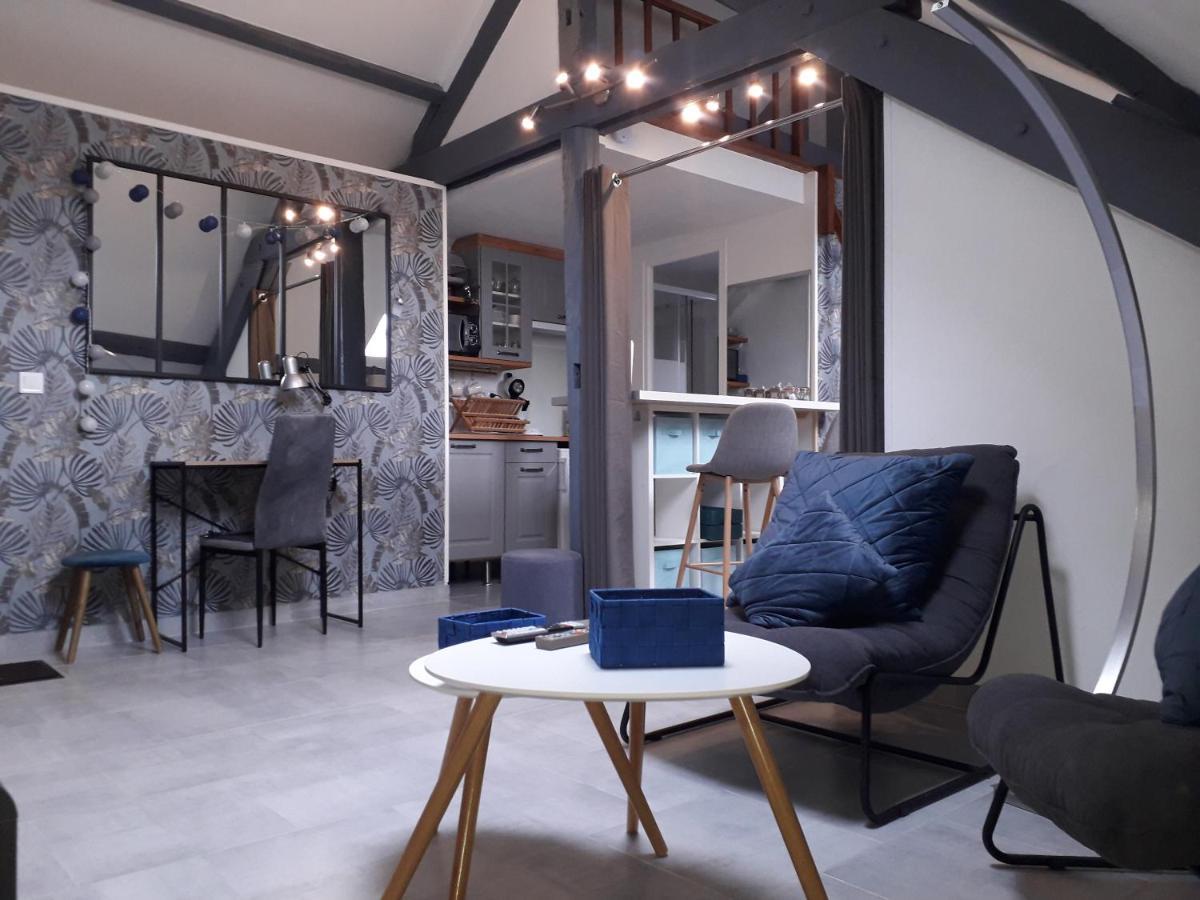 Loft Haut De Gamme Centre Montargis, Place De Parking, Local A Velos, Linge De Lits Et Serviettes, Coin Riviere Amenage, Hamac, Epicerie, Velos En Option, Tout Confort Jusqu'A 4 Voyageurs Екстер'єр фото